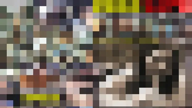 ひいらぎ：変態指向マニア Vol.5