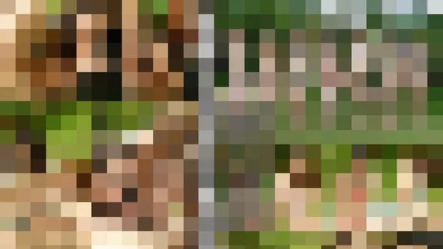 彩夏 一ノ瀬るか 愛乃なみ 新山かえで 浅之美波 滝川ソフィア みなみ愛梨：常夏ビーチで女達の淫戯!（av9898）