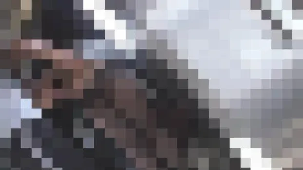 痴漢過激集団 人妻中出し篇