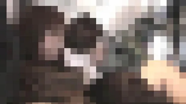 痴漢飛行過激集団?