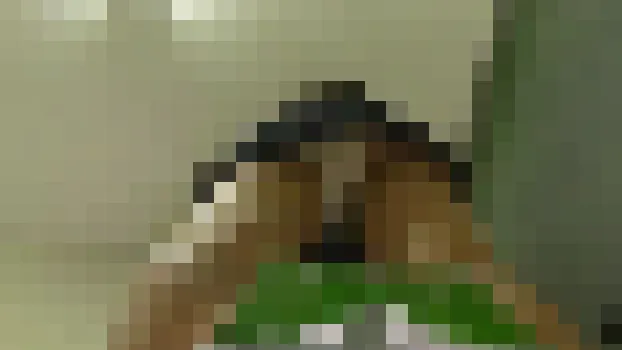 脚立に登ったOLさんの無防備パンチラショット 総集編