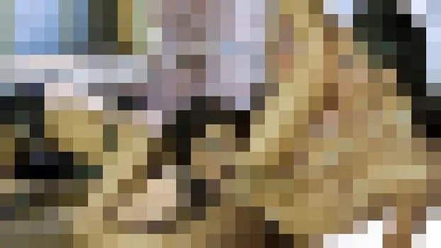 Angelica Saige：lescom_0090