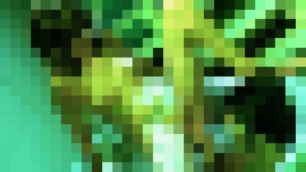 Cadence St. John：lescom_1272