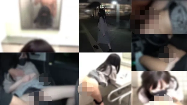 せりなVol.11 ド変態社長さんの欲望はまだまだ止まらない。事務所から野外へ連れ出し、車からの公衆トイレで中出し。